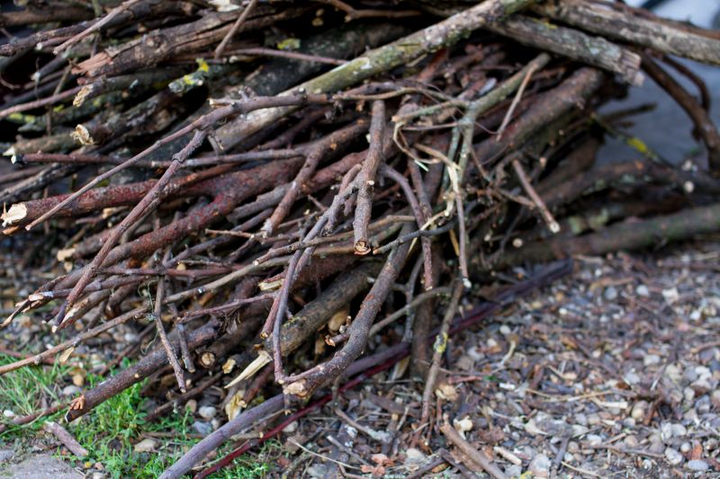 Tree Branch Disposal in Ventura County, CA