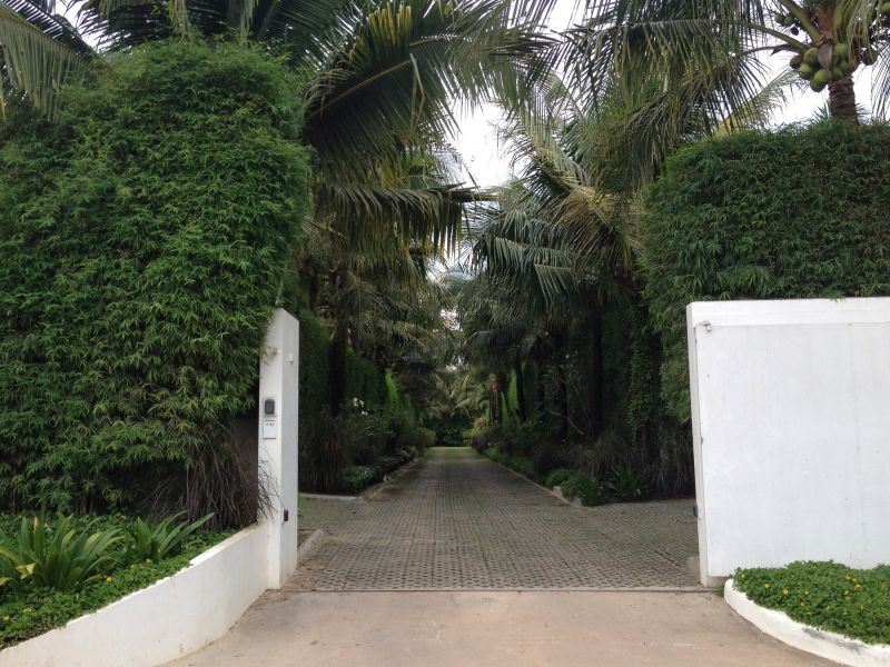 Tree Landscaping in Honolulu, HI