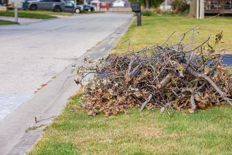 Leaf Removal Inside the Yard
