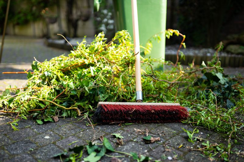 Yard Debris Removal in Honolulu, HI